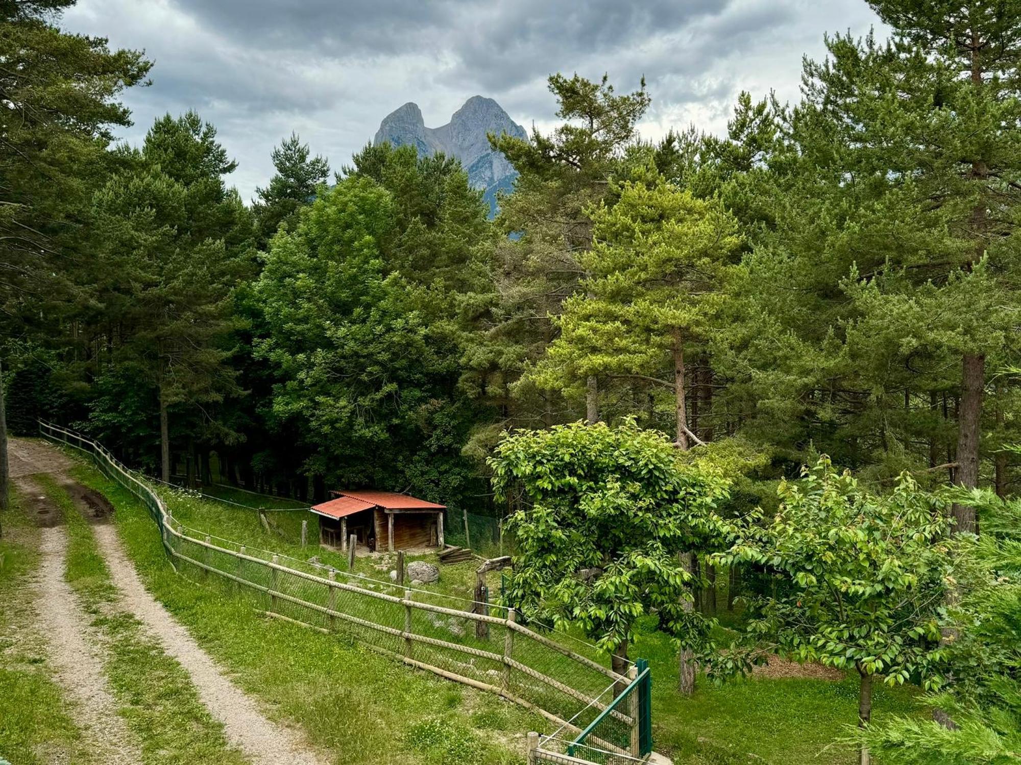 Cal Roig - Pedraforca Βίλα Saldés Εξωτερικό φωτογραφία